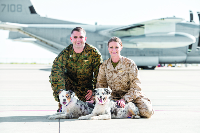 Dogs on Deployment